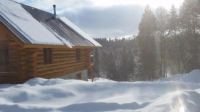 Chalet bois rond aux paysages uniques avec Spa !